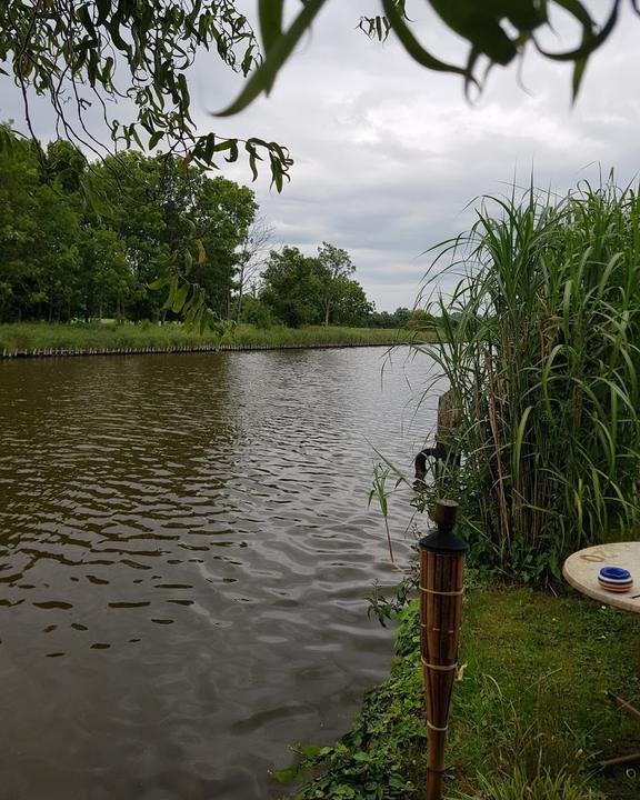 Hafen Schnecke