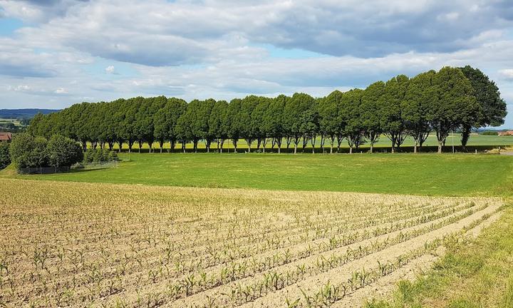 Gaststatte Zum Beutling